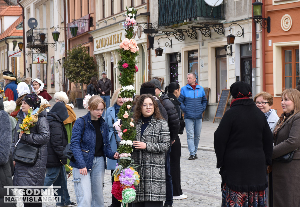 Niedziela Palmowa w Sandomierzu