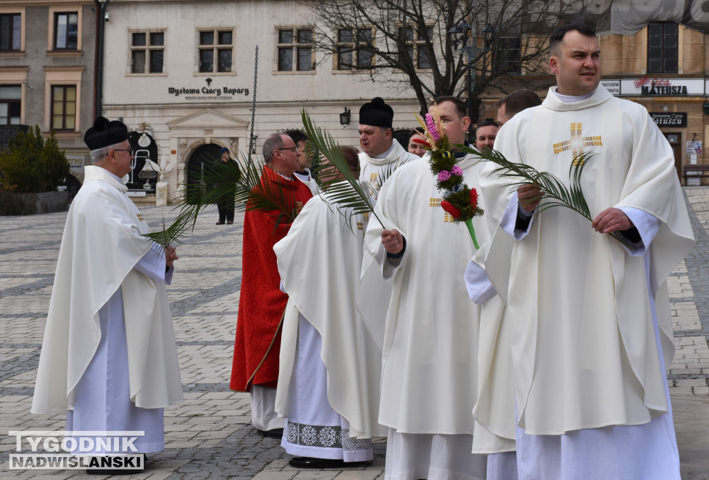 Niedziela Palmowa w Sandomierzu