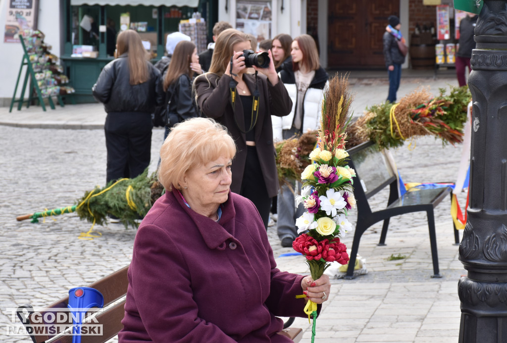 Niedziela Palmowa w Sandomierzu
