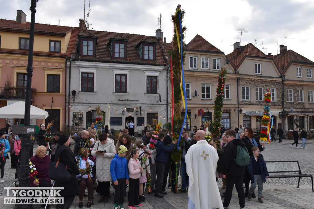 Niedziela Palmowa w Sandomierzu