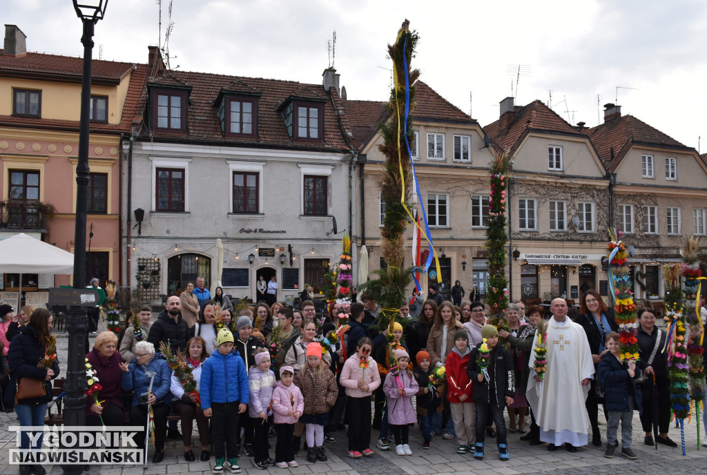 Niedziela Palmowa w Sandomierzu