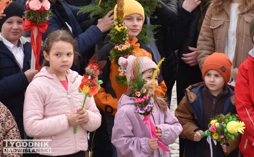 Niedziela Palmowa w Sandomierzu