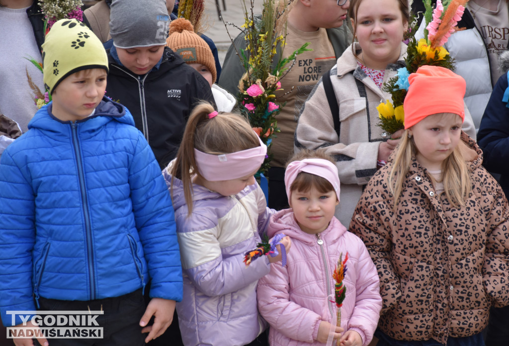 Niedziela Palmowa w Sandomierzu