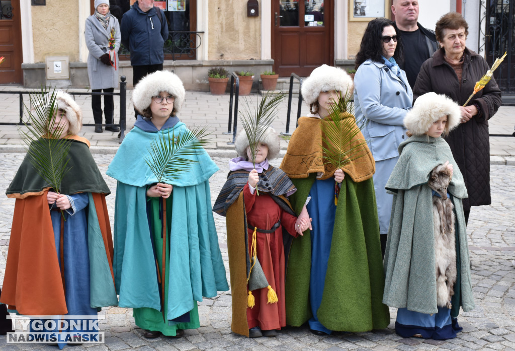 Niedziela Palmowa w Sandomierzu