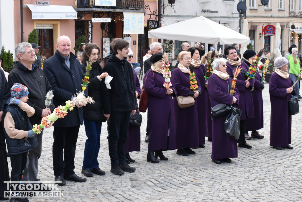 Niedziela Palmowa w Sandomierzu