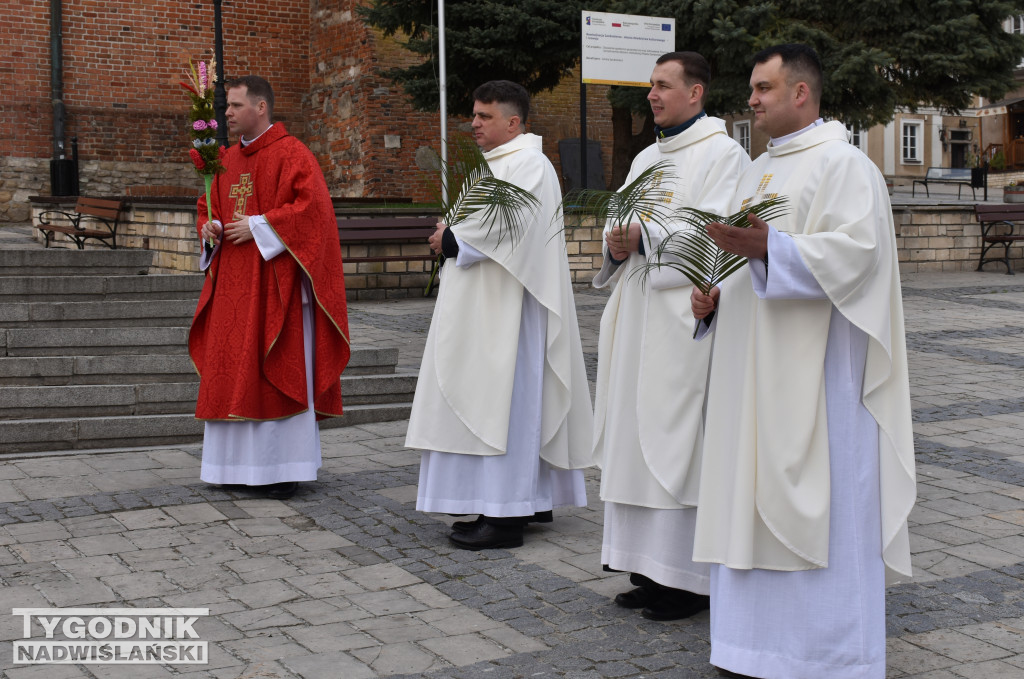 Niedziela Palmowa w Sandomierzu