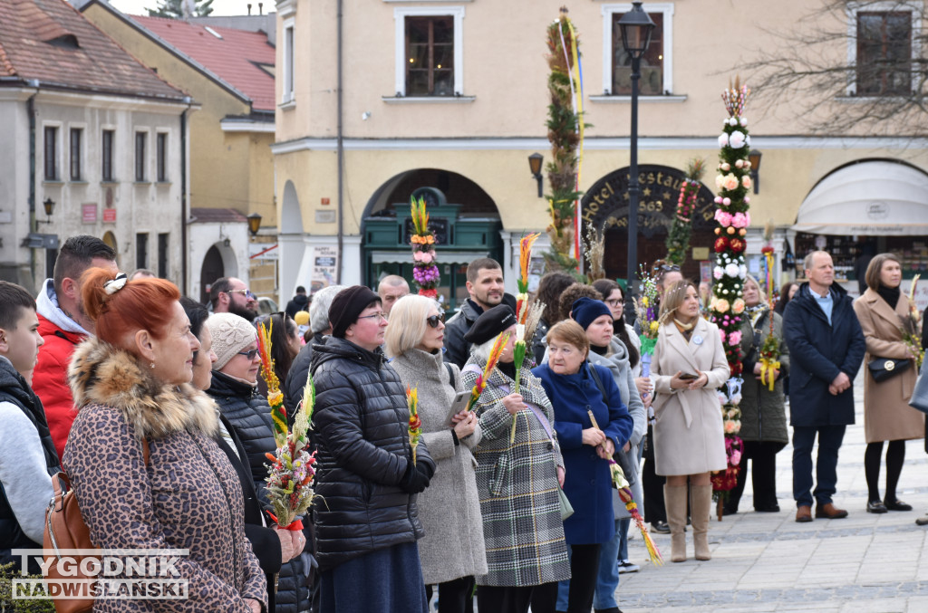 Niedziela Palmowa w Sandomierzu