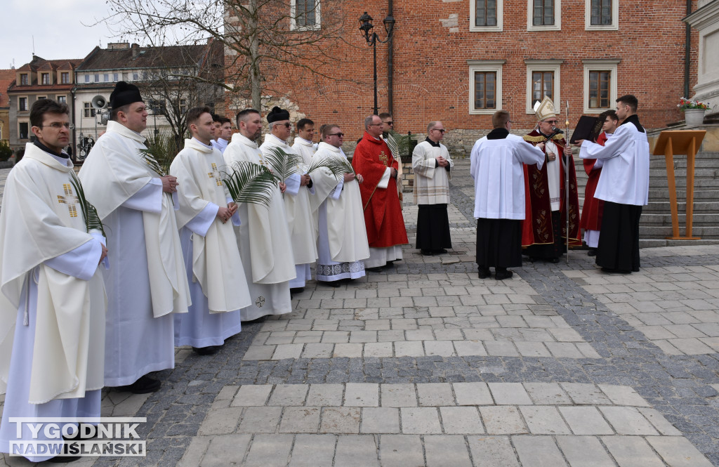 Niedziela Palmowa w Sandomierzu