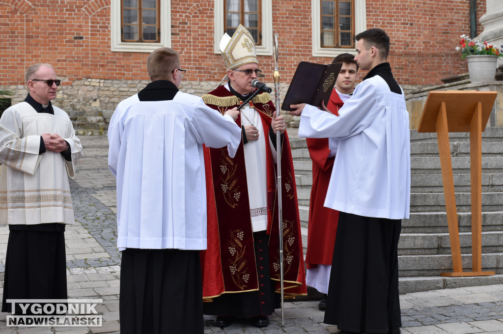 Niedziela Palmowa w Sandomierzu