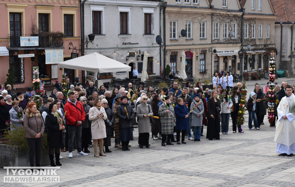 Niedziela Palmowa w Sandomierzu