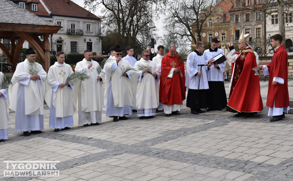 Niedziela Palmowa w Sandomierzu