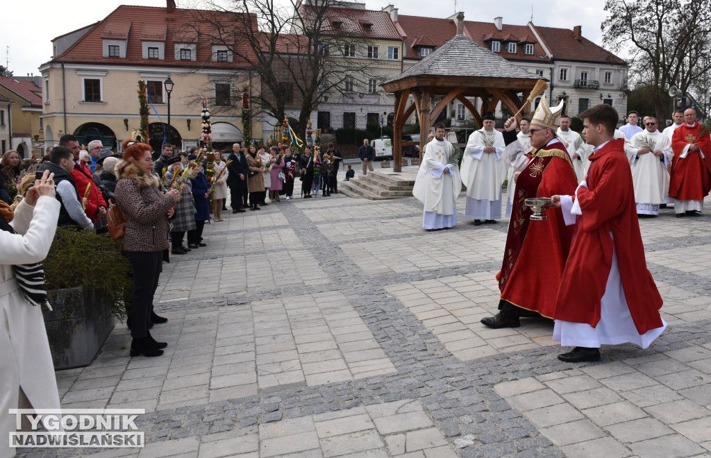 Niedziela Palmowa w Sandomierzu