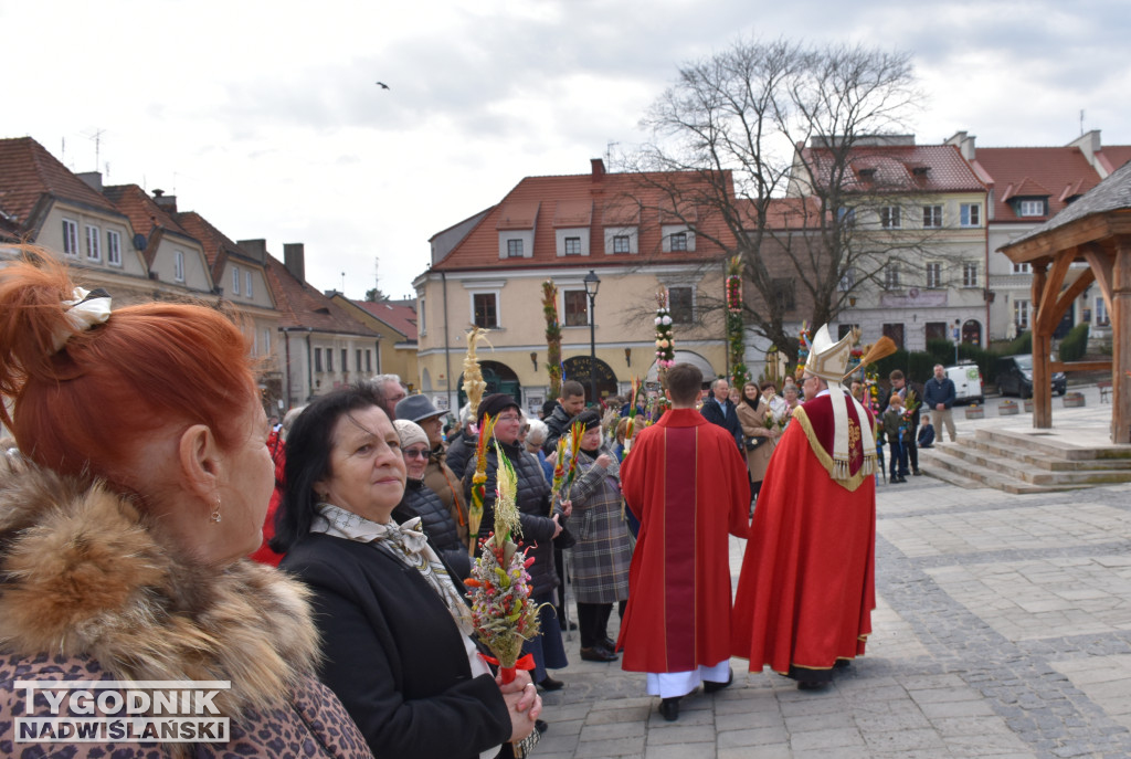 Niedziela Palmowa w Sandomierzu