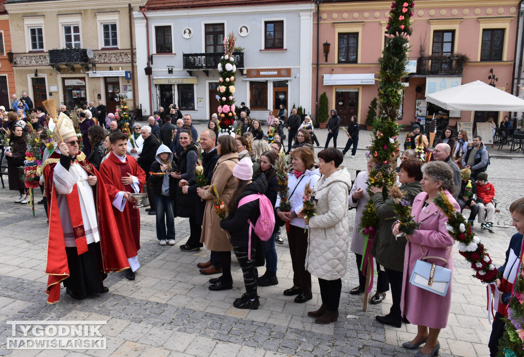 Niedziela Palmowa w Sandomierzu