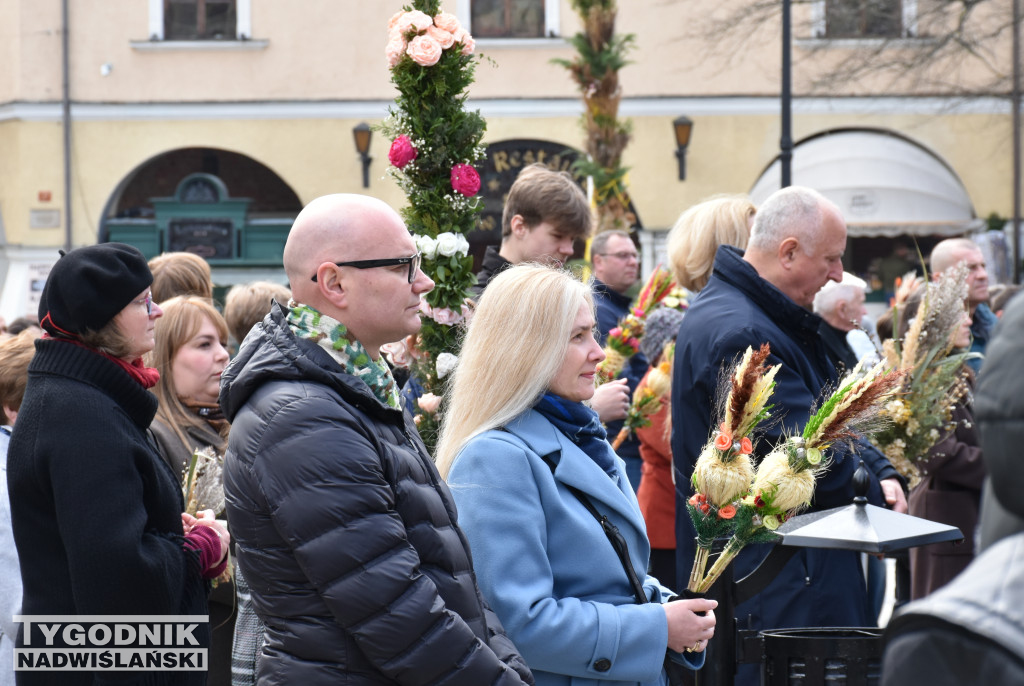 Niedziela Palmowa w Sandomierzu