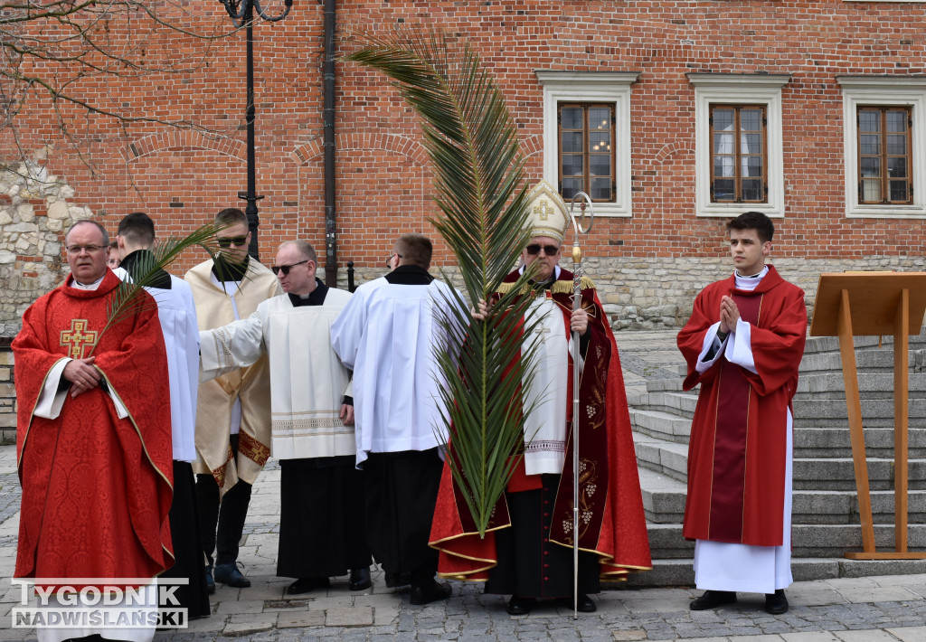 Niedziela Palmowa w Sandomierzu