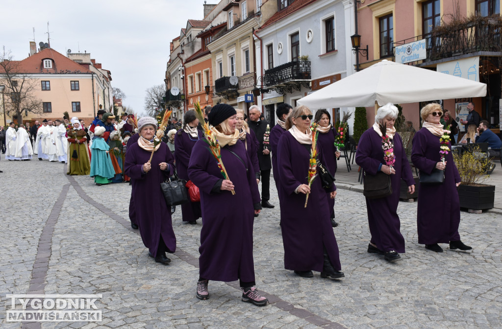 Niedziela Palmowa w Sandomierzu