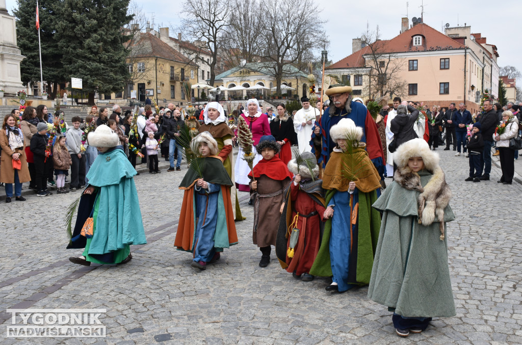 Niedziela Palmowa w Sandomierzu