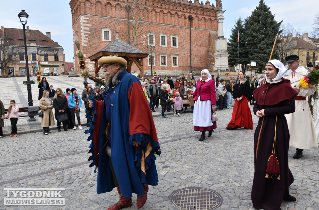Niedziela Palmowa w Sandomierzu
