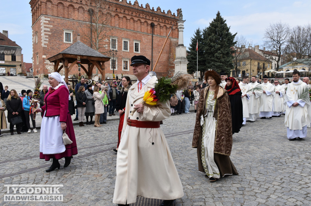 Niedziela Palmowa w Sandomierzu