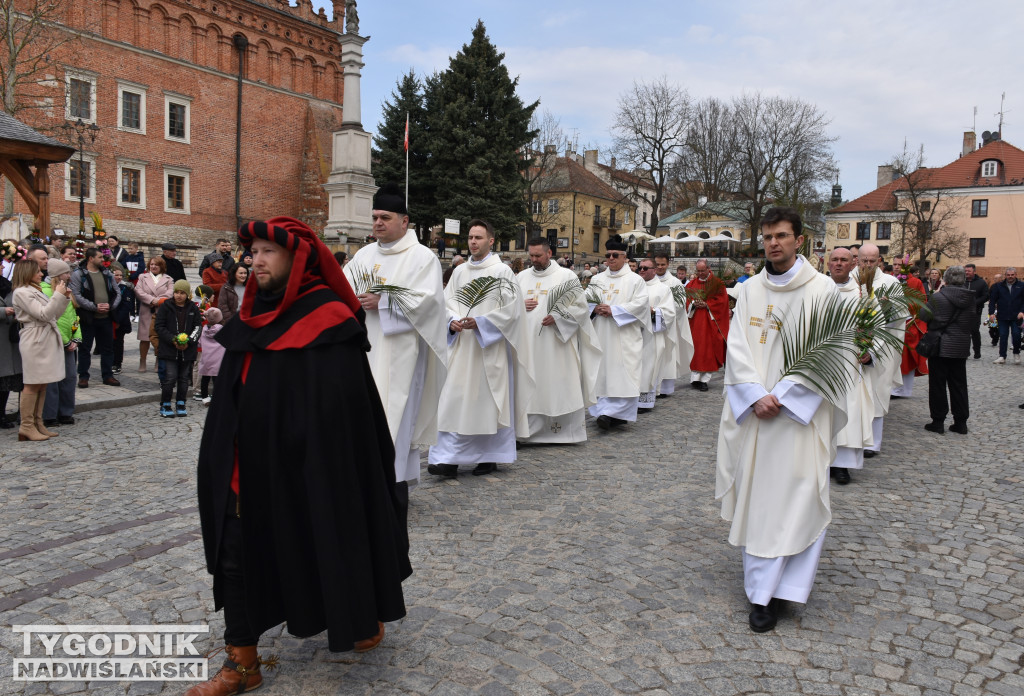 Niedziela Palmowa w Sandomierzu