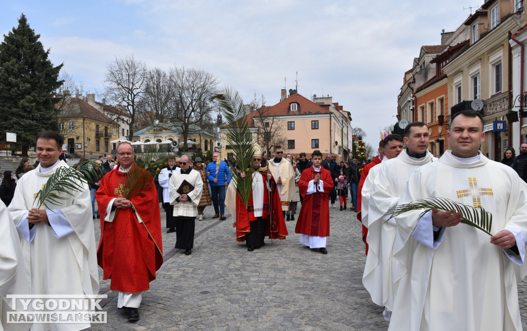 Niedziela Palmowa w Sandomierzu