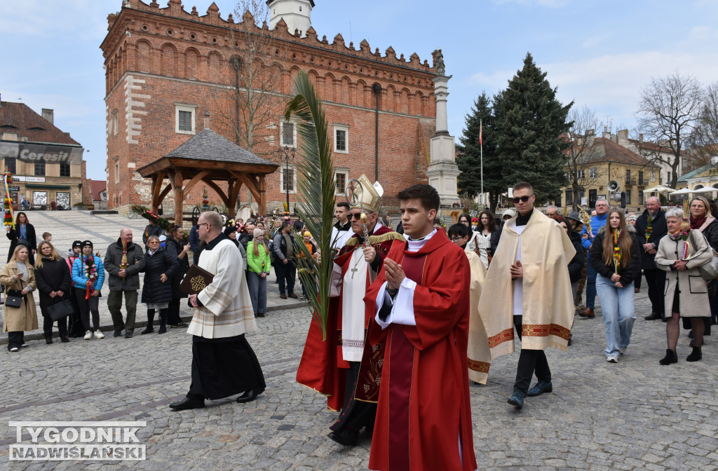 Niedziela Palmowa w Sandomierzu