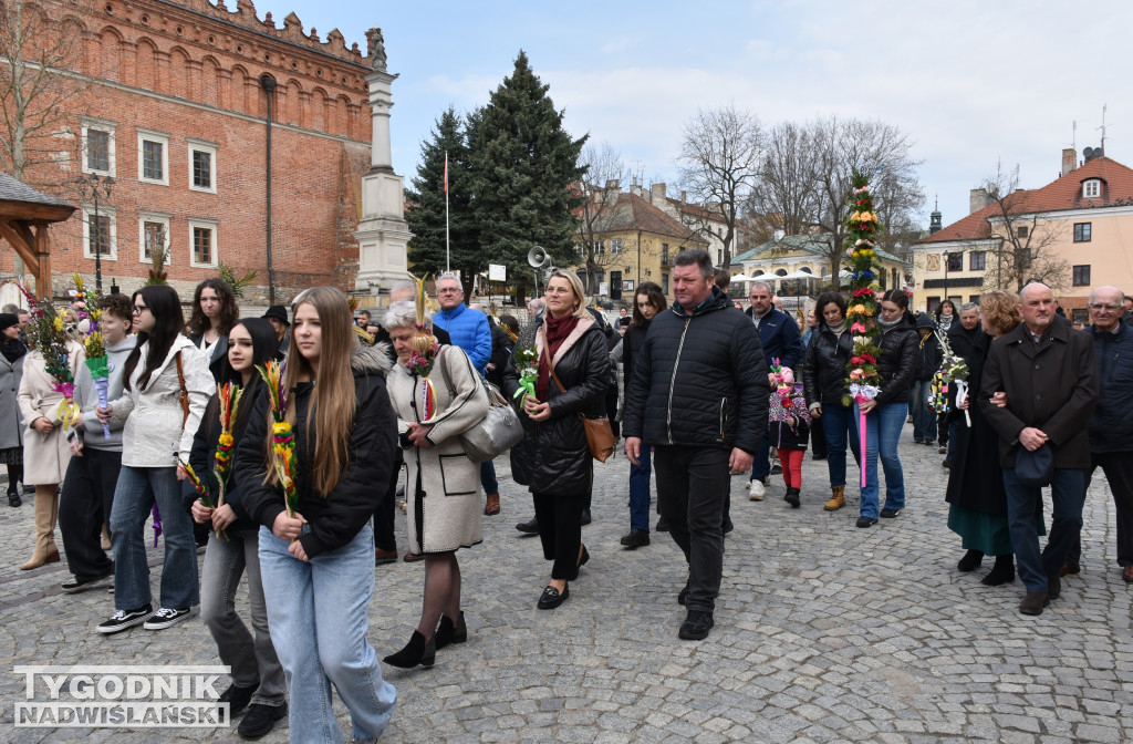 Niedziela Palmowa w Sandomierzu