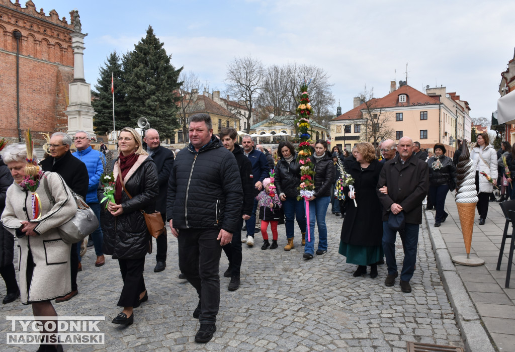 Niedziela Palmowa w Sandomierzu