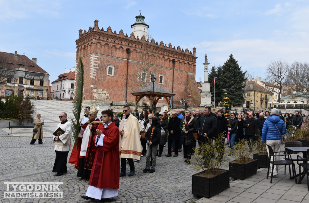 Niedziela Palmowa w Sandomierzu