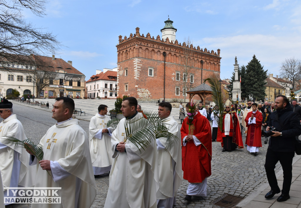 Niedziela Palmowa w Sandomierzu