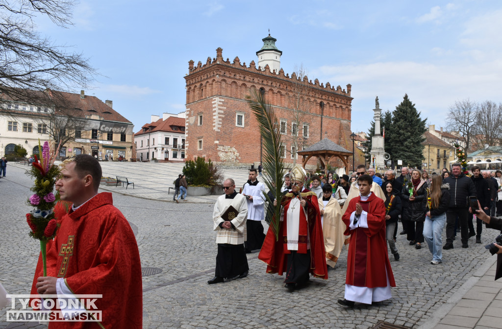 Niedziela Palmowa w Sandomierzu