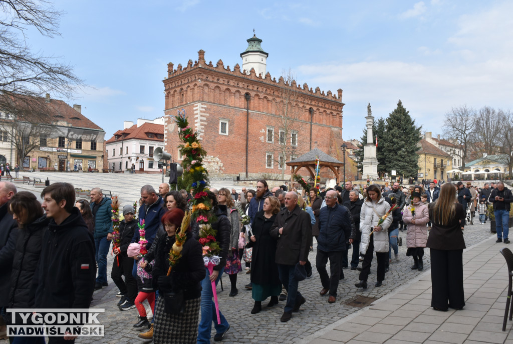 Niedziela Palmowa w Sandomierzu