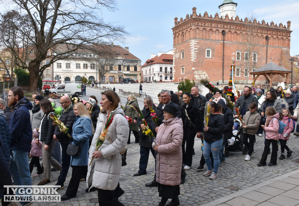 Niedziela Palmowa w Sandomierzu