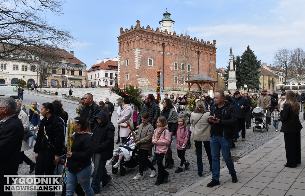 Niedziela Palmowa w Sandomierzu