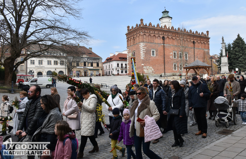 Niedziela Palmowa w Sandomierzu