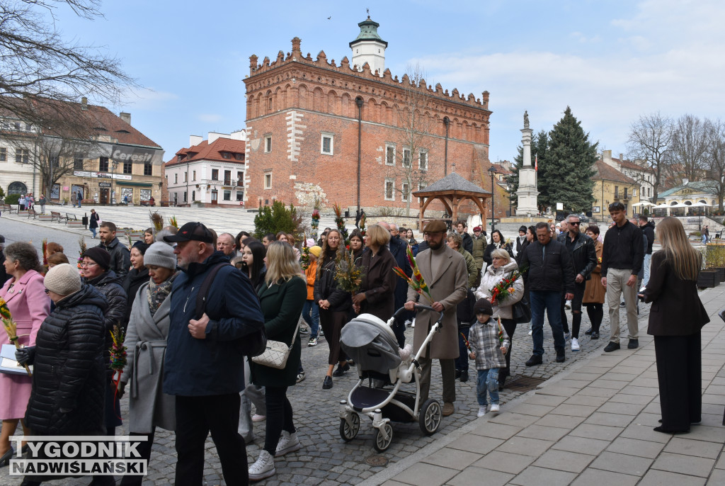 Niedziela Palmowa w Sandomierzu