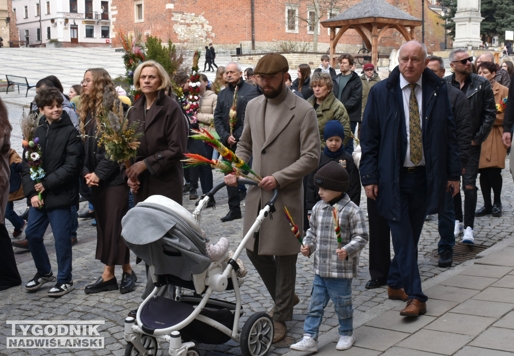 Niedziela Palmowa w Sandomierzu