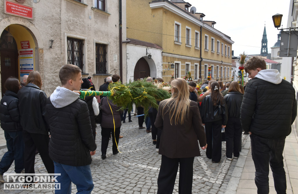 Niedziela Palmowa w Sandomierzu