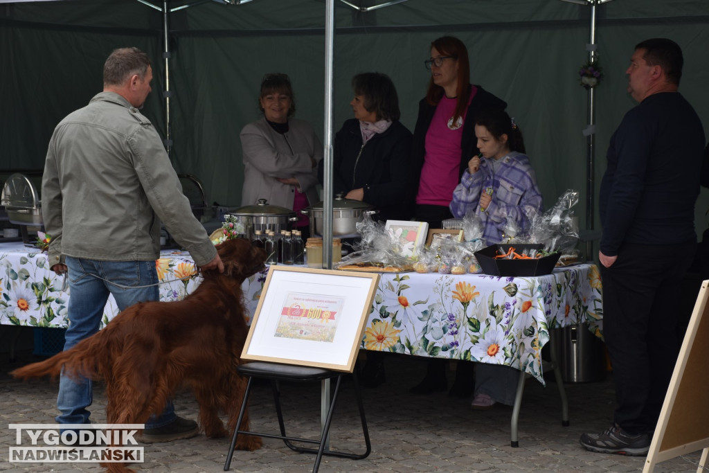 Jarmark Wielkanocny w Staszowie
