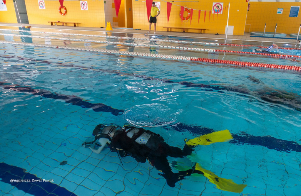 Nurkowanie na basenie w Nowej Dębie