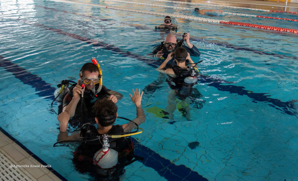 Nurkowanie na basenie w Nowej Dębie