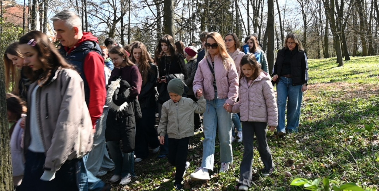 Droga Krzyżowa w parku dzikowskim