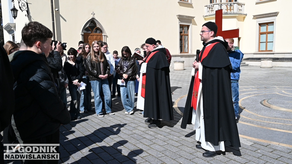 Droga Krzyżowa w parku dzikowskim