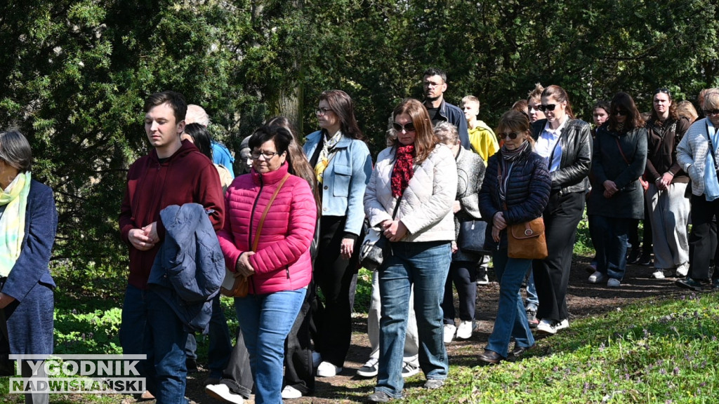 Droga Krzyżowa w parku dzikowskim