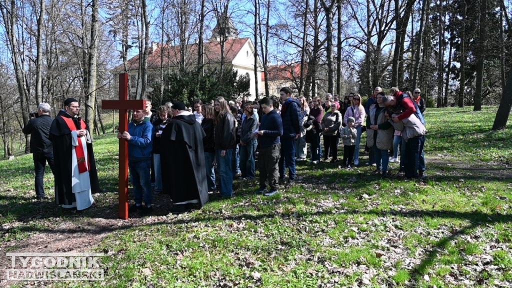 Droga Krzyżowa w parku dzikowskim