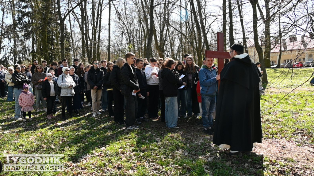Droga Krzyżowa w parku dzikowskim