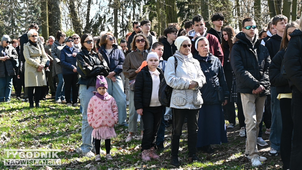 Droga Krzyżowa w parku dzikowskim