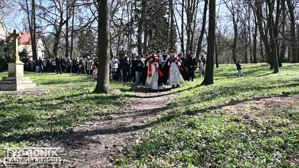 Droga Krzyżowa w parku dzikowskim