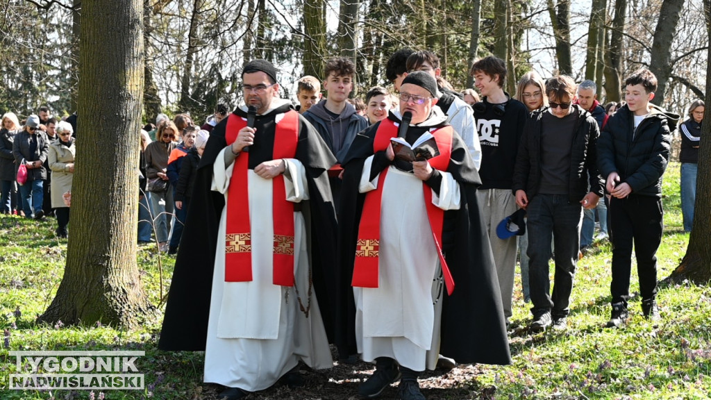 Droga Krzyżowa w parku dzikowskim